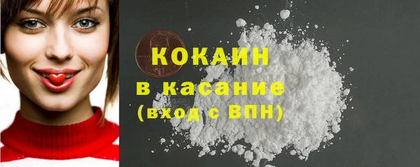 гидра Липки