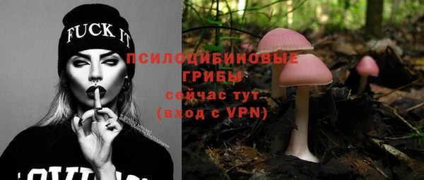 бошки Лиски