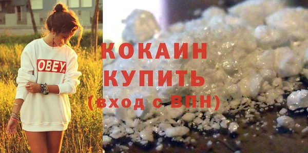 гидра Липки