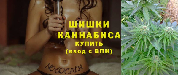 гидра Липки
