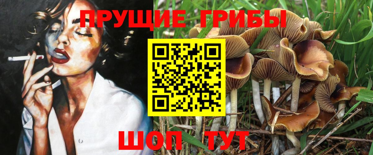 Псилоцибиновые грибы MAGIC MUSHROOMS  Вход с VPN  где можно купить   Нальчик 