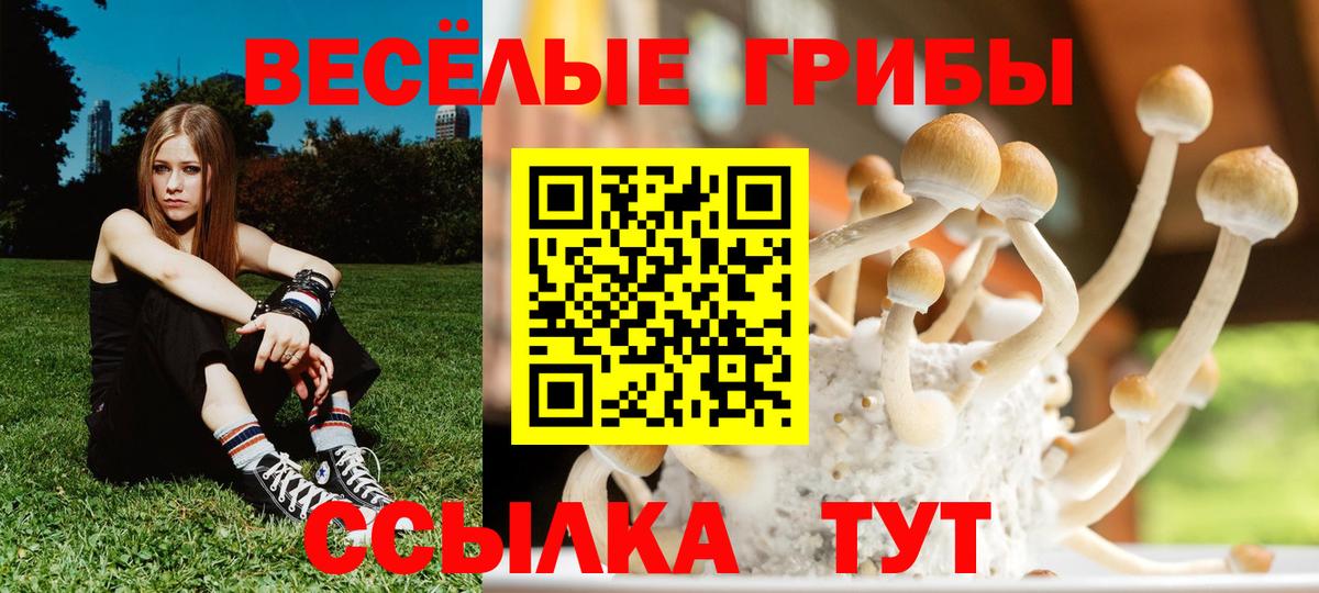 Псилоцибиновые грибы Magic Shrooms Нальчик